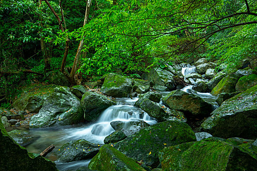 翠绿的山谷里流着清凉透彻的溪水