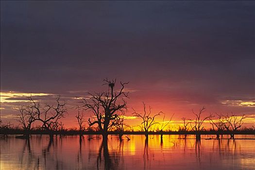 夕阳湖,国家公园,新南威尔士,澳大利亚,大洋洲