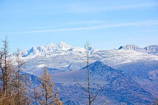 喀纳斯雪山