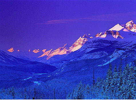 积雪,山峦,班芙国家公园,艾伯塔省,加拿大