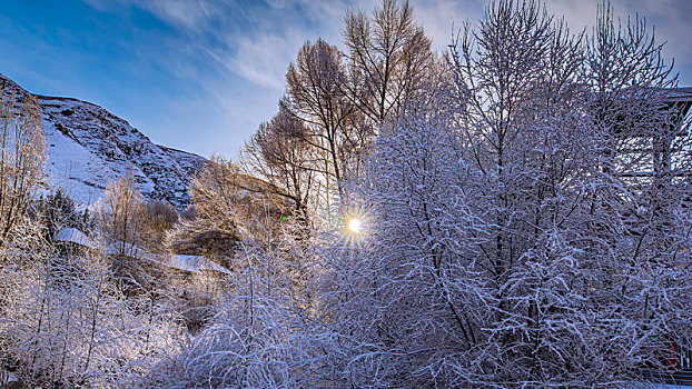 冰雪焉支山