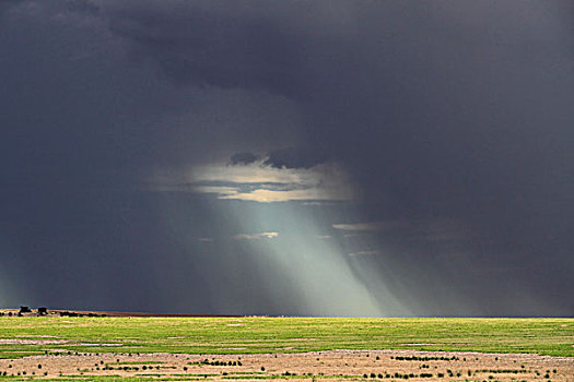 风暴,上方,农田,西澳大利亚州,澳大利亚