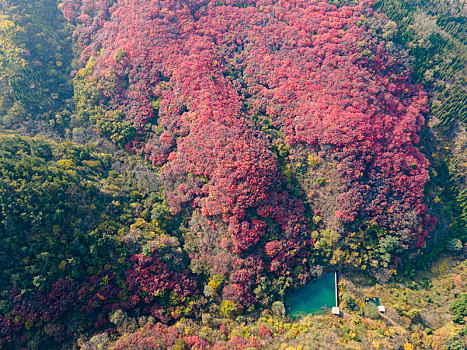 航拍济南南部山区秋色