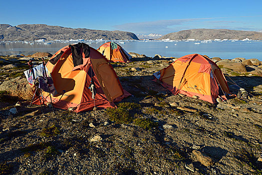 旅游,露营,帐篷,峡湾,东方,格陵兰,北美