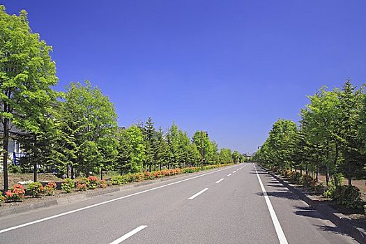 住宅区,道路