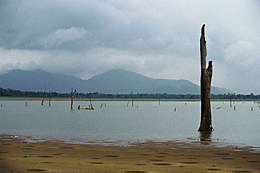 枯木,站立,湖,渔民,独木舟,远景,山,背景,斯里兰卡