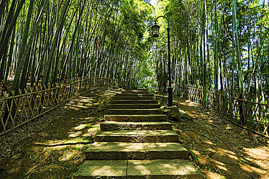 杭州风景