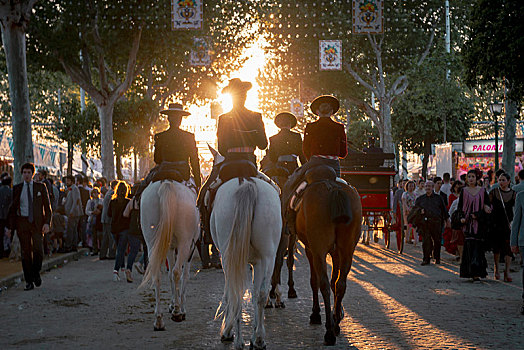 骑乘,马,传统服装,逆光,节假日,塞维利亚,安达卢西亚,西班牙,欧洲