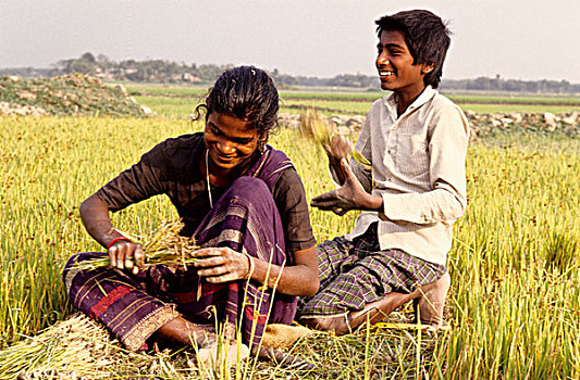 男孩,女人,时间,稻田,孟加拉