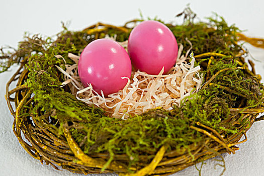粉色,复活节彩蛋,鸟窝,白色背景,背景