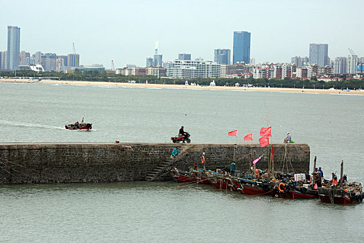 渔船回港带回大量海鲜,游客蜂拥而至就像赶大集