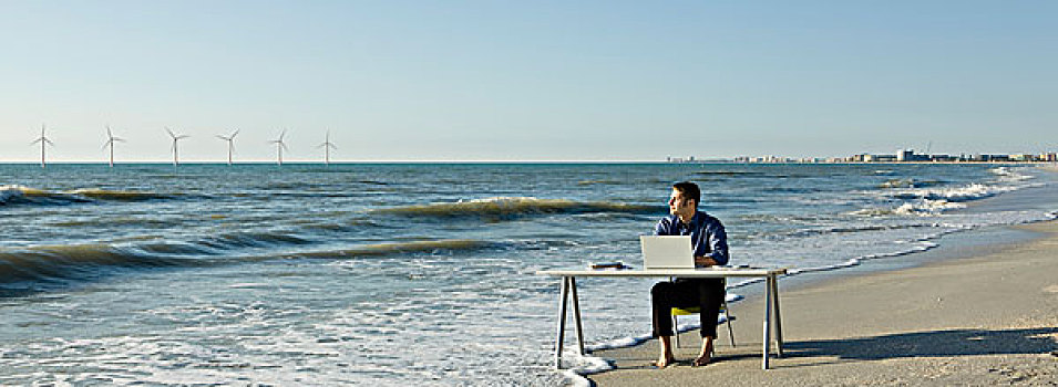 男人,工作,书桌,水边,海滩,风轮机,地平线