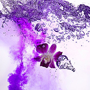 世界,紫色,饮料