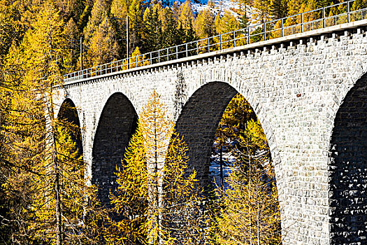 铁路桥,道路,秋天,山谷,瑞士,欧洲