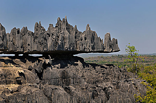 石灰石,国家公园,世界遗产,西部,马达加斯加,非洲