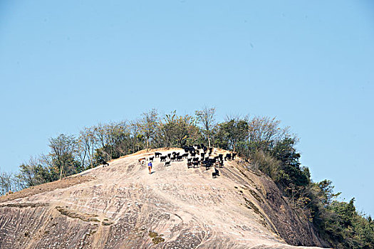 山,丹霞,驴友,黑山羊,放牧,蓝天,篱笆,栅栏,旅行,地质公园,丹霞地貌,灌木,树,草,水潭,素材,平面设计,质感