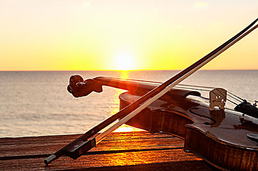 日落,上方,海洋,小提琴,乐弓,长椅