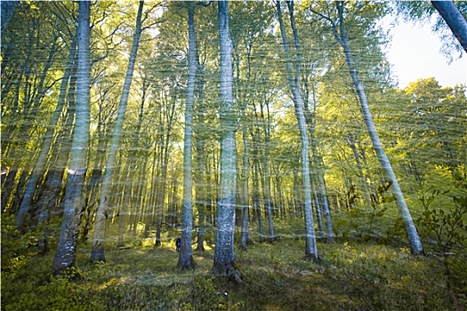 风景,二次曝光