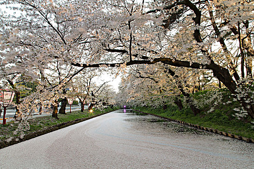 青森县弘前公园