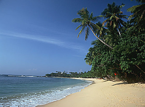 热带沙滩