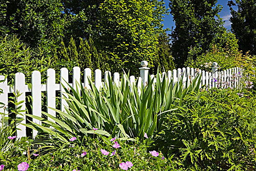 白色,木质,栅栏,正面,花,床,风景,住宅,前院,花园,魁北克,加拿大,北美