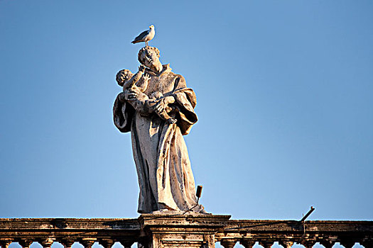 一个,圣徒,雕塑,柱廊,广场,海鸥,头部,罗马,意大利,欧洲