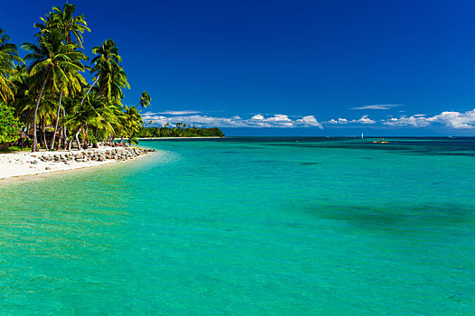 热带海岛,斐济,沙滩,纯净水