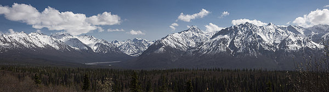 景色,全景,冰河,山谷,绵羊,山,区域,楚加奇山,阿拉斯加