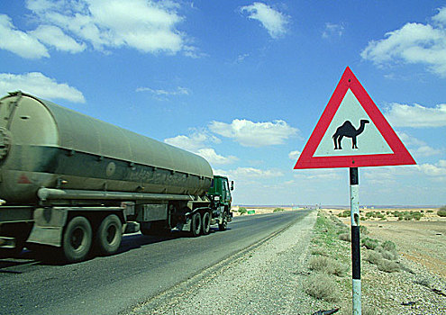 约旦,油罐车,途中,靠近,骆驼,穿过,标识