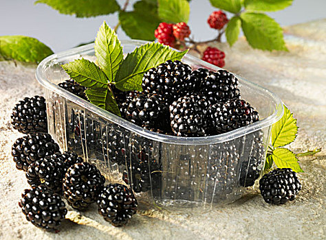 黑莓,塑料容器