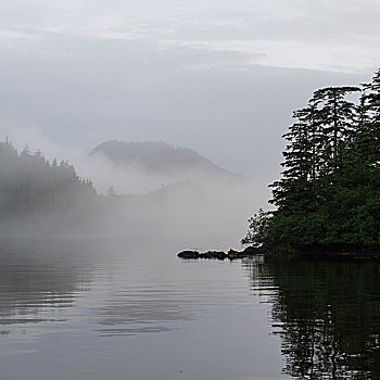 风景,雾状,海岸,地区性,地区,岛屿,不列颠哥伦比亚省,加拿大