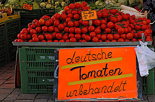 西红柿,市场,罗森海姆,上巴伐利亚,巴伐利亚,德国,欧洲
