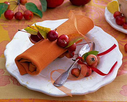 苹果树,水果,叶子,卷,餐巾