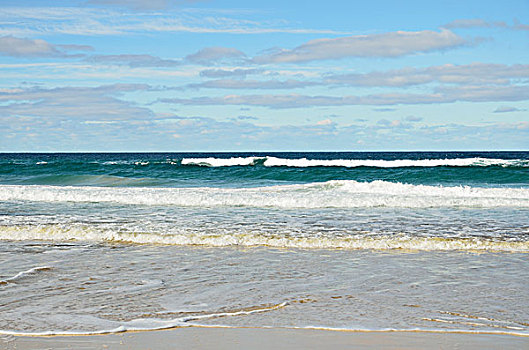 海滩,保护区,塔斯马尼亚,澳大利亚