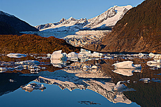 冰山,漂浮,表面,湖,靠近,通加斯国家森林,东南阿拉斯加,秋天