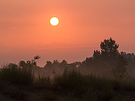 宁夏哈巴湖