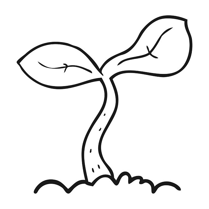 图片信息