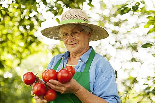 老年,女人,拿着,西红柿