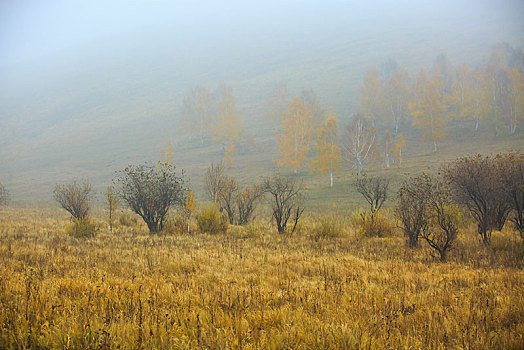 野外,远景,山坡