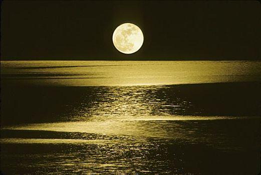 月亮,上方,海洋,夜晚