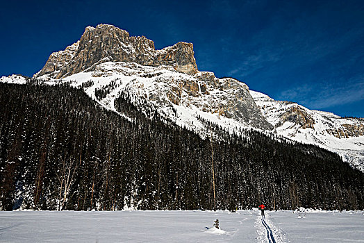 越野滑雪,幽鹤国家公园,地点,不列颠哥伦比亚省,加拿大