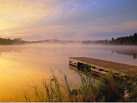 码头,日出,薄雾,湖,怀特雪尔省立公园,曼尼托巴,加拿大