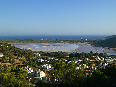 伊比沙岛,盐