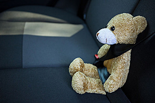 泰迪熊,扎牢,安全带,汽车,特写