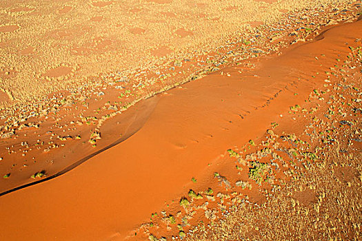 航拍,特色,红色,沙子,围绕,植物,干燥,风景,纳米布沙漠,纳米比亚,南非