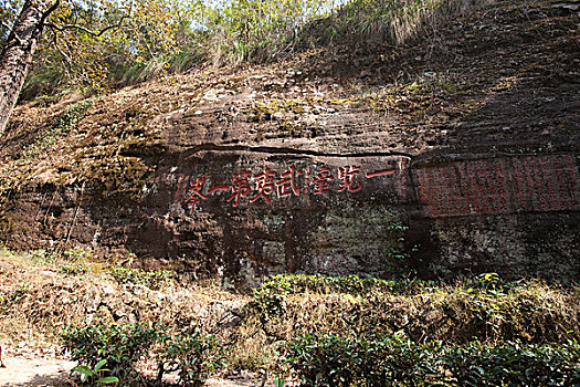 武夷山,山,福建,中国