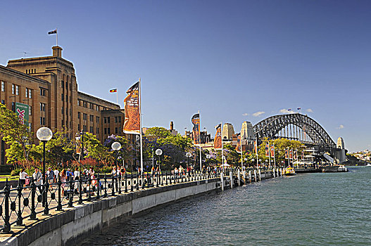 风景,悉尼,散步场所,走,人,悉尼港大桥,澳大利亚