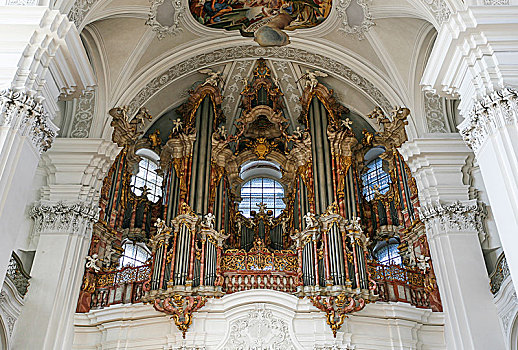 琴乐器,圣马丁,大教堂,教堂,寺院,巴登符腾堡,德国,欧洲