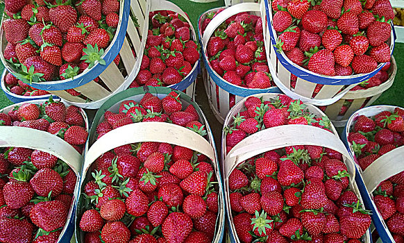 南法风情--草莓