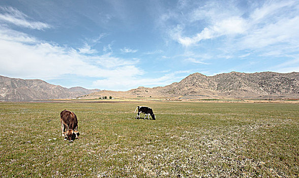 新疆伊雷木湖